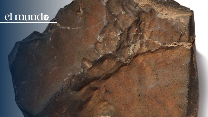 La piedra de Marte más grande se vende por $4.3 millones