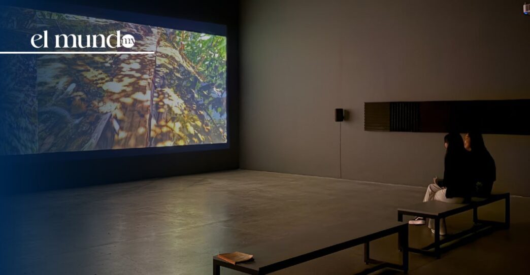 Cierre temporal del MUAC: El museo suspende sus exposiciones durante julio 2025