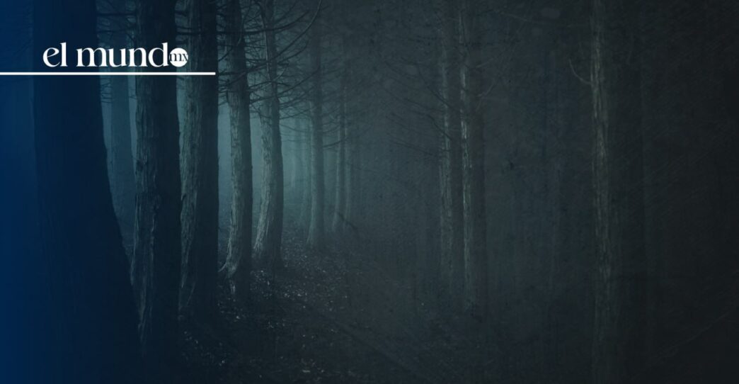 Peña de Lobos: El Bosque más terrorífico de México en CDMX