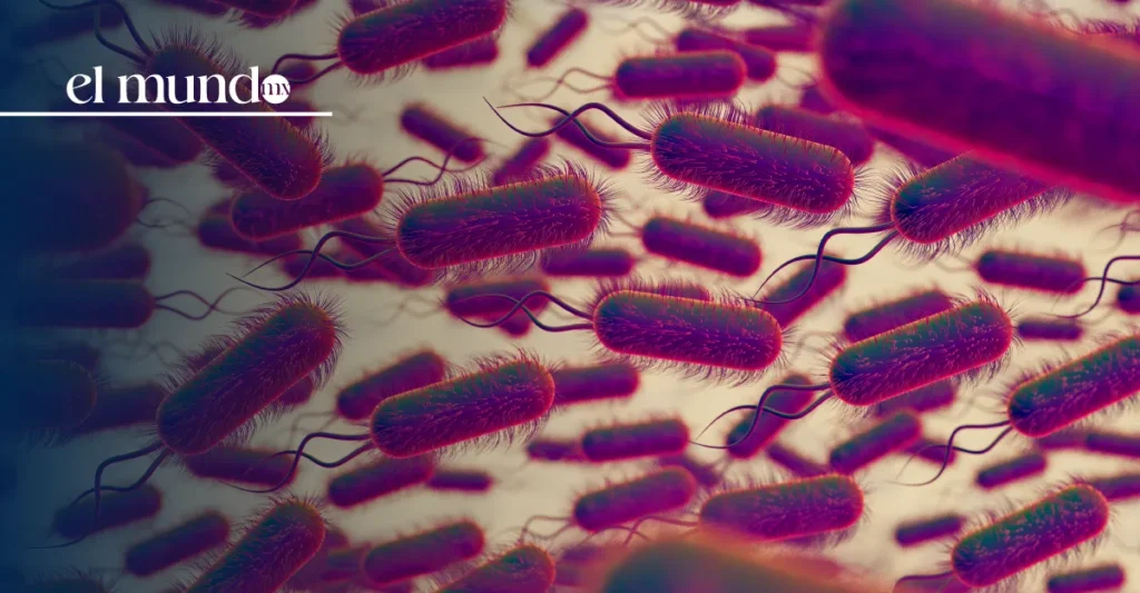 México sufre una infección endémica de Helicobacter Pylori, ligada al cáncer gástrico México sufre una infección endémica de Helicobacter Pylori, ligada al cáncer gástrico