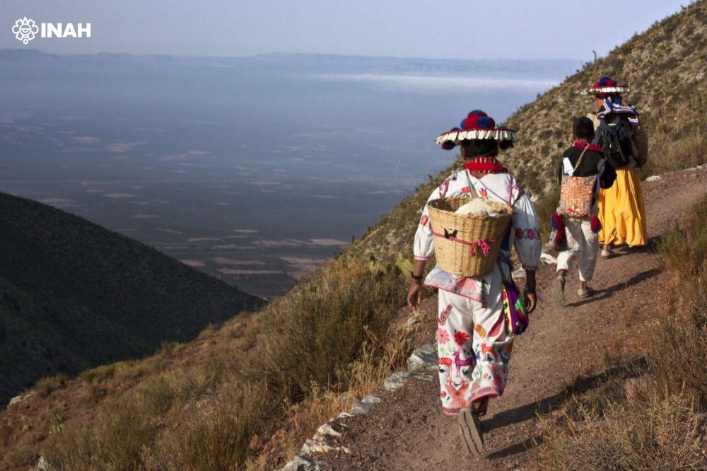 Las demandas Wixárika al gobierno: tierra, protección ambiental y atención