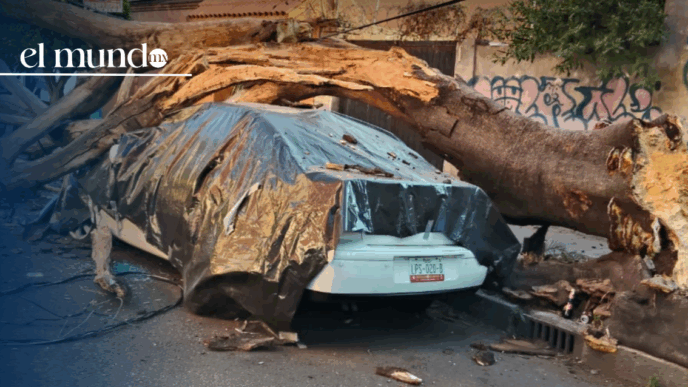 Sismo de 6.5 grados. Muere hombre de 60 años en CDMX hoy 2 de enero de 2026