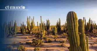 ¿Qué hacer y qué lugares turísticos debes conocer en Sonora, México, este 2026?