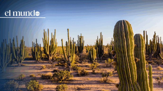 ¿Qué hacer y qué lugares turísticos debes conocer en Sonora, México, este 2026?