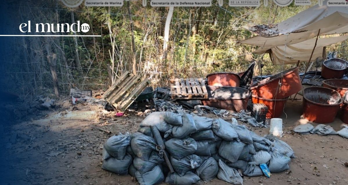 Desmantelan laboratorio clandestino de metanfetamina en Guerrero; aseguran droga y precursores químicos