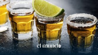 Día Nacional del Tequila: Senado aprueba el 24 de julio como nueva fecha oficial en México