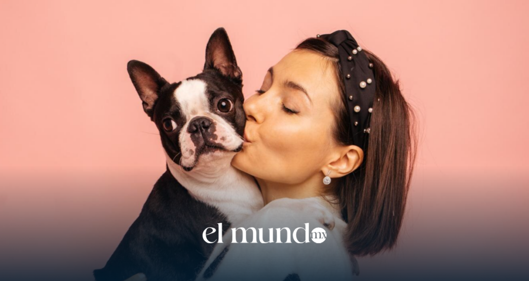 Italia promueve permiso laboral para cuidar a tu mascota enferma o ante su fallecimiento