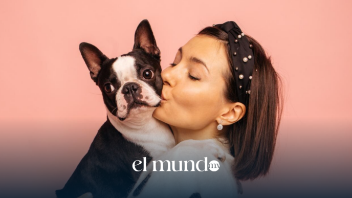 Italia promueve permiso laboral para cuidar a tu mascota enferma o ante su fallecimiento