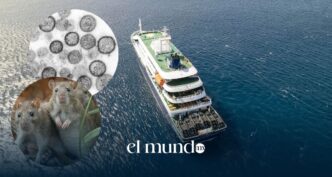 Brote de hantavirus en un crucero internacional deja personas sin vida y la OMS activa alerta sanitaria