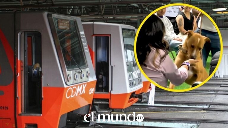 Perritos del Metro CDMX eligen a sus dueños en PetFest 2026