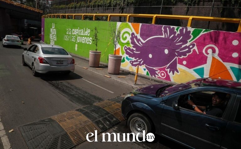 CDMX se llena de ajolotes de colores para el Mundial 2026 mientras la especie enfrenta extinción en Xochimilco