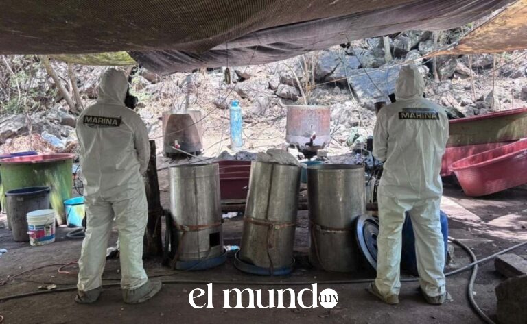 Fuerzas federales desmantelan cinco laboratorios clandestinos de drogas en tres estados del país