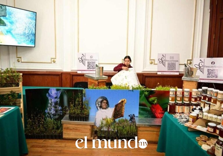 Congreso de CDMX expide nueva ley que reconoce a las abejas como especie de protección prioritaria Congreso de CDMX expide nueva ley que reconoce a las abejas como especie de protección prioritaria