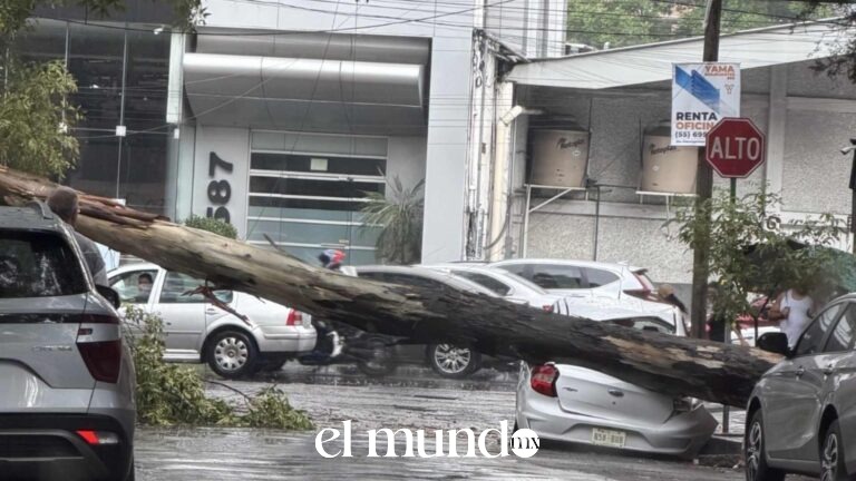 Lluvias y granizadas causan caída de árboles, inundaciones y afectaciones viales en CDMX y Estado de México Lluvias y granizadas causan caída de árboles, inundaciones y afectaciones viales en CDMX y Estado de México