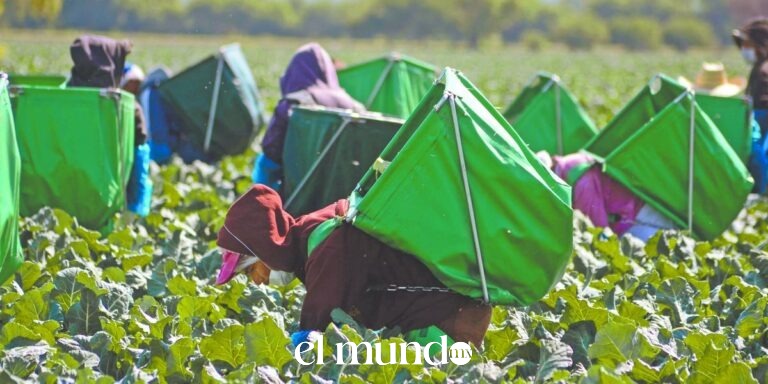 Economía mexicana se contrae 0.6% en el primer trimestre de 2026 y acumula tres caídas en seis trimestres