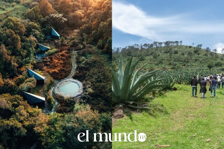 Cinco escapadas cerca de la Ciudad de México para este fin de semana: cabañas, laberintos y pulque Cinco escapadas cerca de la Ciudad de México para este fin de semana: cabañas, laberintos y pulque
