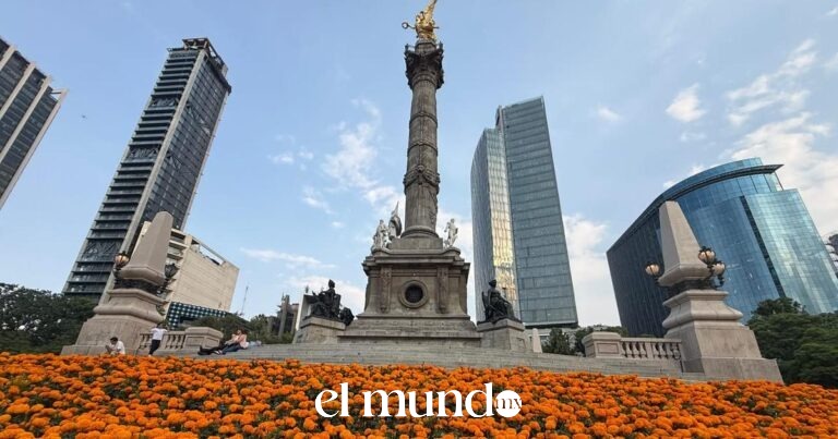 Por primera vez en la historia, la CDMX adelanta la floración de cempasúchil para el Mundial 2026