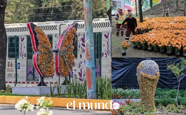Tapizan con flores y cactáceas las calles rumbo al Estadio Ciudad de México por el Mundial 2026