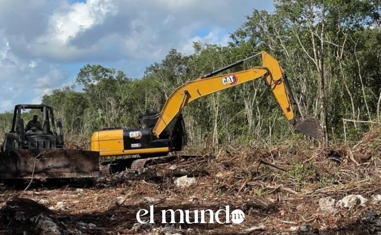 Organizaciones ambientalistas denuncian construcción de carretera sobre acuífero Maya en Tulum Organizaciones ambientalistas denuncian construcción de carretera sobre acuífero Maya en Tulum