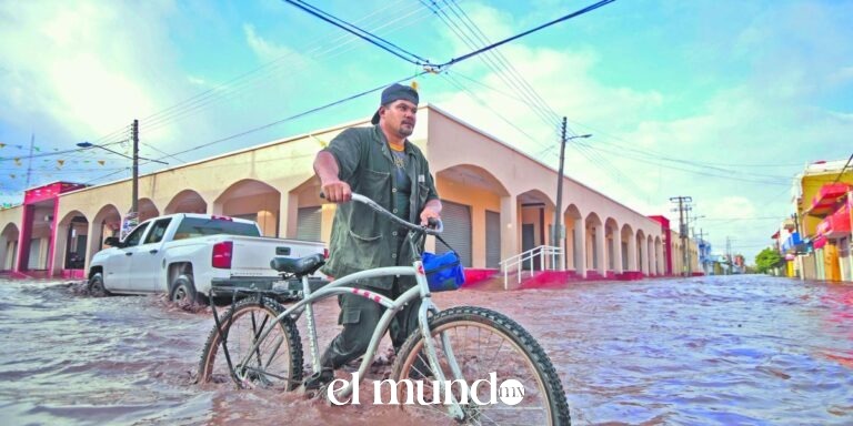 México destina solo 0.16 centavos de cada 100 pesos a protección ambiental en 2026