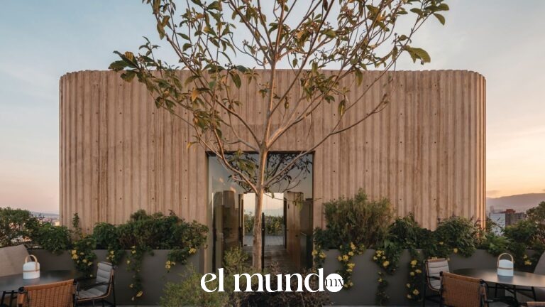 ONTO Tonalá: la propuesta que transforma la experiencia de hospedaje en Roma Norte