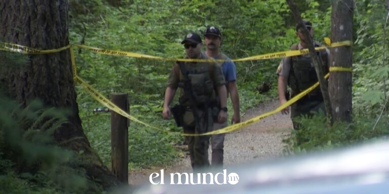 Oso negro ataca a adolescente en sendero montañoso de Washington y deja heridas menores