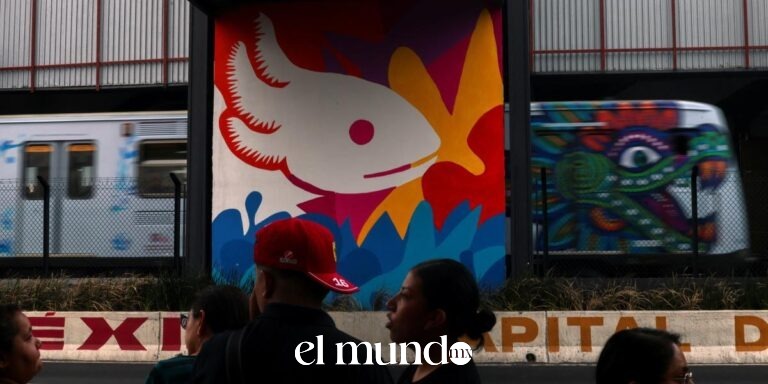 Metro y Metrobús de CDMX completan implementación de pagos sin contacto con tarjetas internacionales