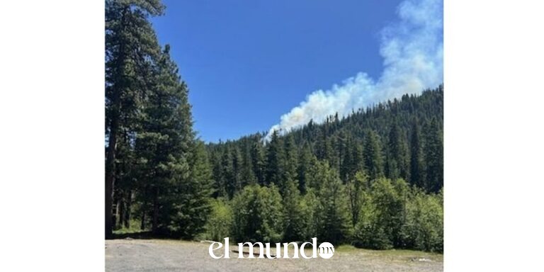Piloto de los Marines eyecta antes de que caza F/A-18 Hornet se estrelle en montaña de Washington