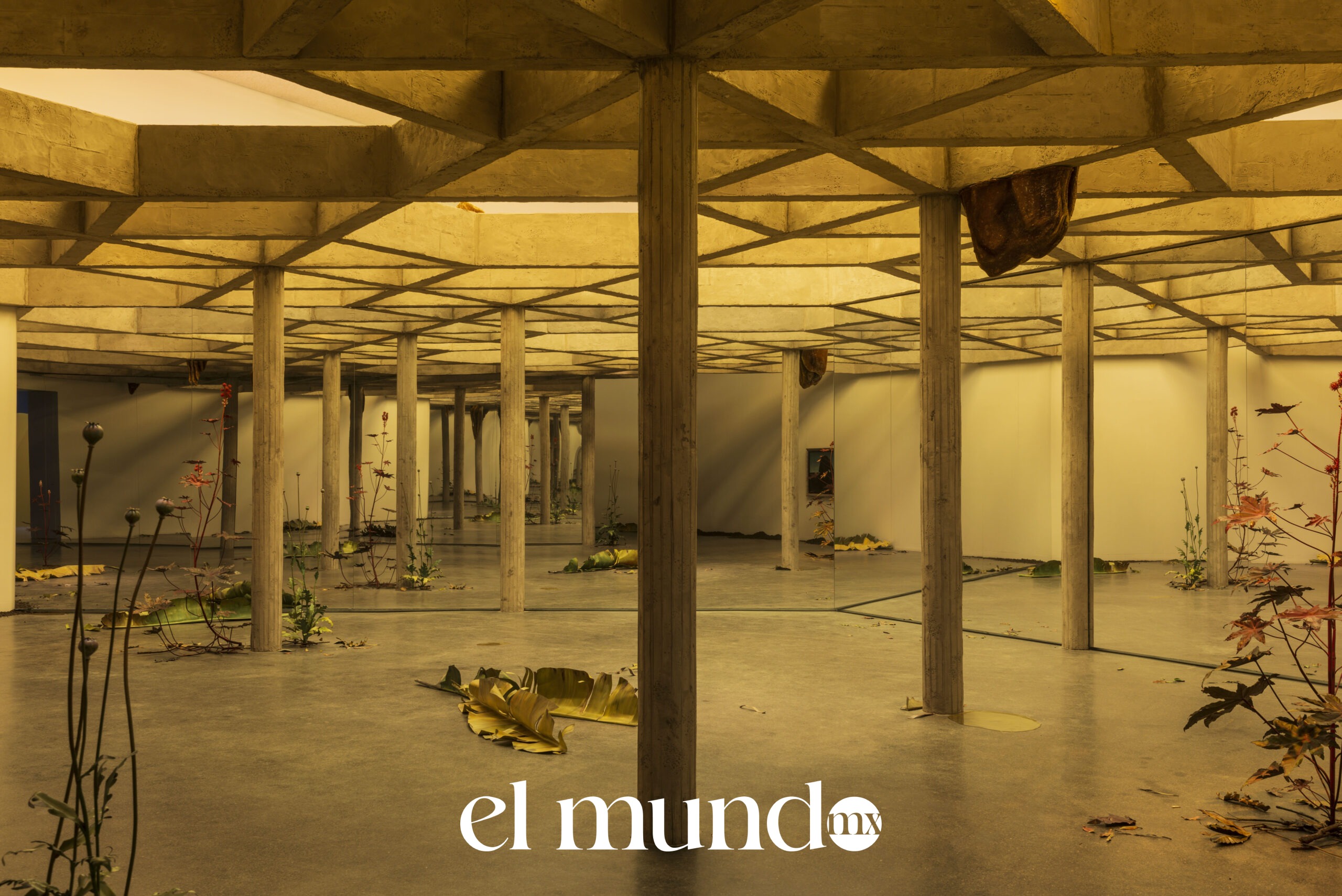¿Cuáles son las exposiciones que el Museo Jumex inaugurará en otoño e invierno 2026?