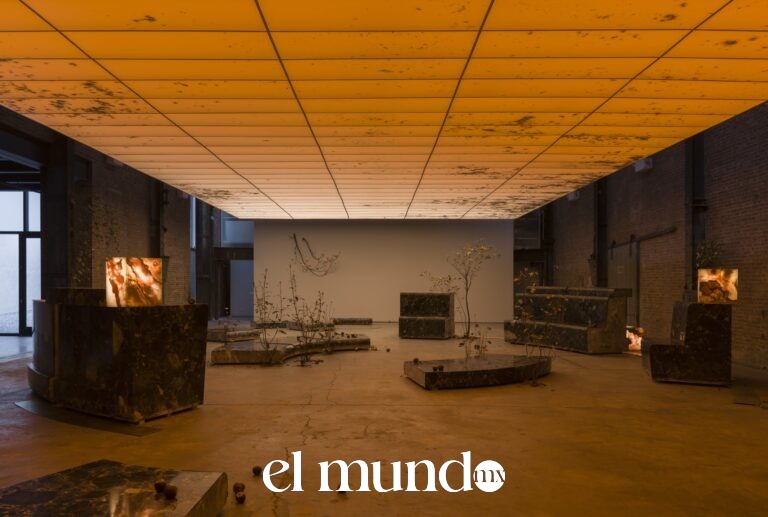 ¿Cuáles son las exposiciones que el Museo Jumex inaugurará en otoño e invierno 2026?