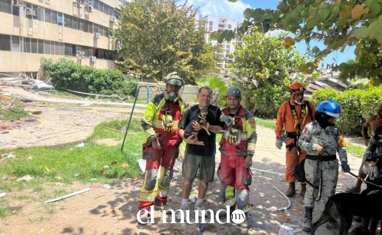 Ejército mexicano rescata con vida a perrita atrapada bajo escombros en Venezuela durante operaciones humanitarias