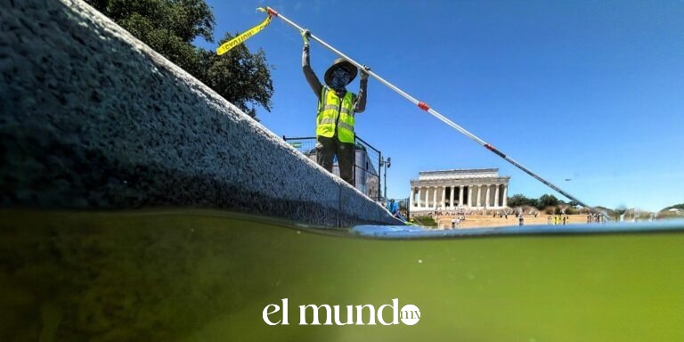 Gobierno de Trump usará la misma empresa para reparar daños en estanque del Lincoln Memorial