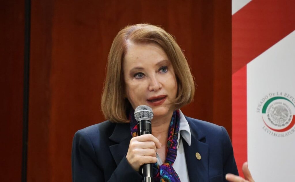 Laura Itzel Castillo abre la puerta a ampliar presidencia del Senado Senadora Laura Itzel Castillo Juárez durante sesión en el Senado de la República