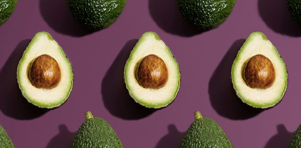 Huerto de aguacate en México con certificación fitosanitaria para exportación a Estados Unidos