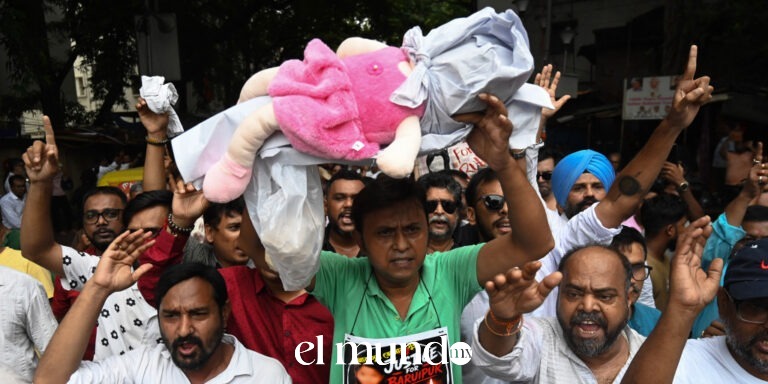Policía india arresta a 35 personas tras protestas violentas por violación y asesinato de niña de 11 años