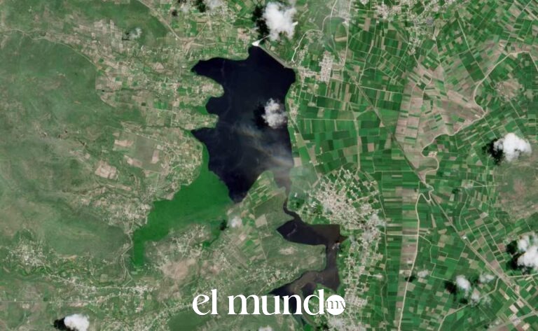 Conagua reporta reducción histórica del lirio acuático en Presa Endhó tras extracción de 105 mil metros cúbicos Conagua reporta reducción histórica del lirio acuático en Presa Endhó tras extracción de 105 mil metros cúbicos
