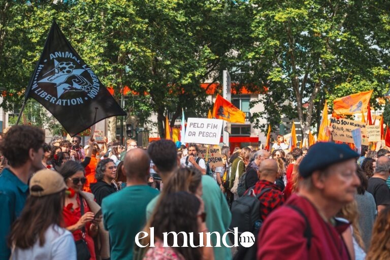 Marchas y bloqueos en CDMX hoy 14 de julio de 2026 Marchas y bloqueos en CDMX hoy 14 de julio de 2026