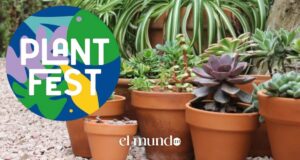 Festivales y eventos culturales en CDMX durante septiembre 2026